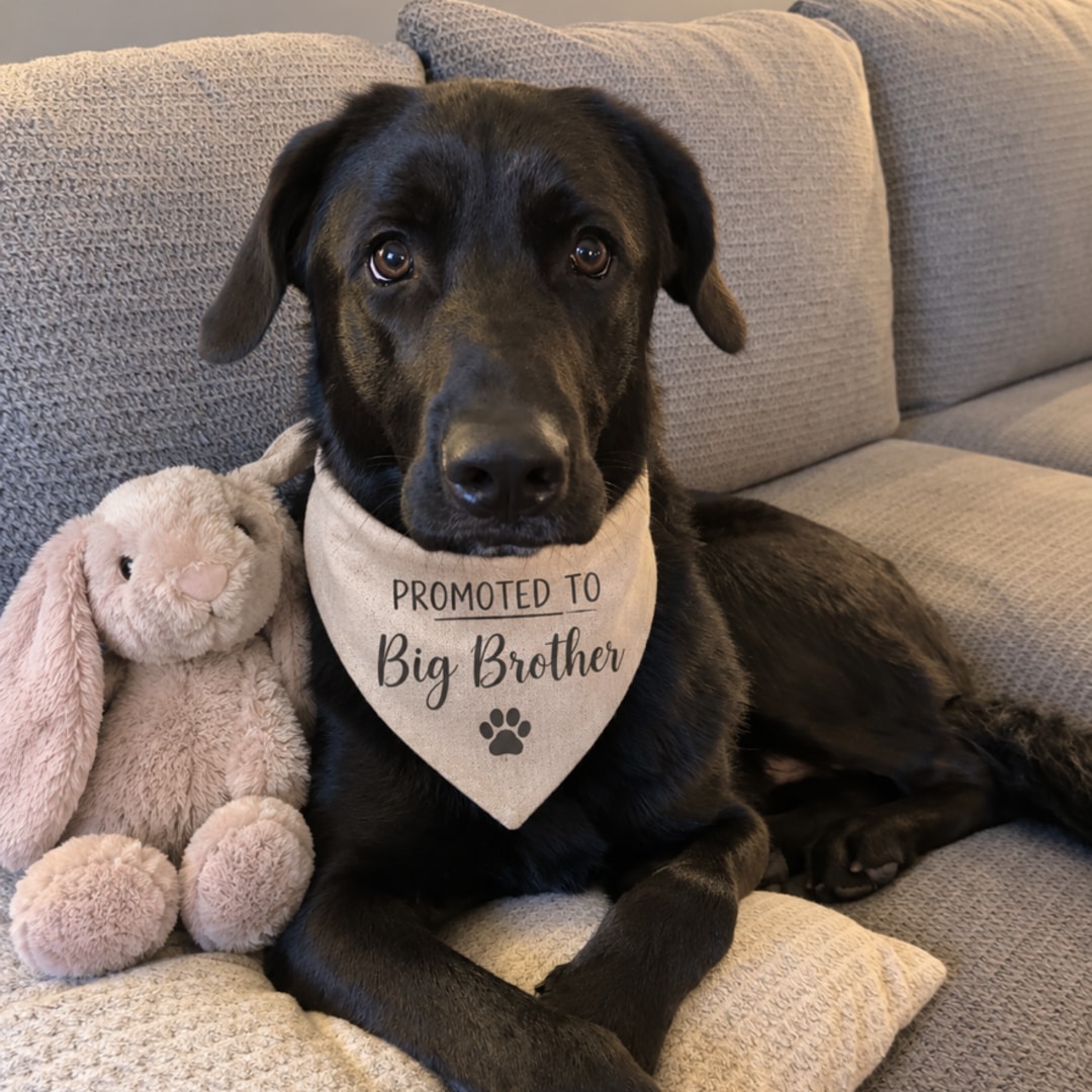 Photo shared by Susan for their Babylist baby registry.