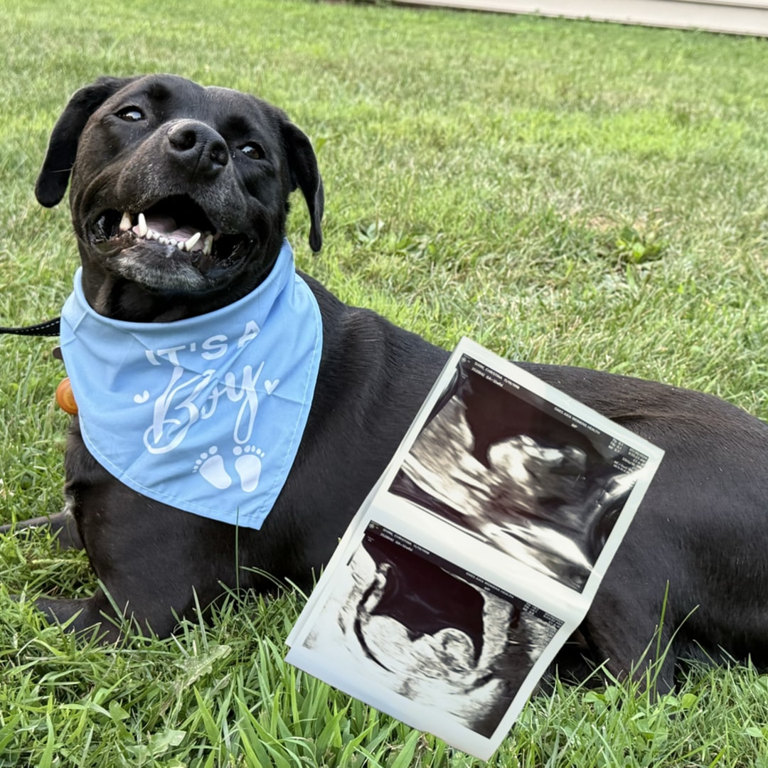 Photo shared by Christina for their Babylist baby registry.