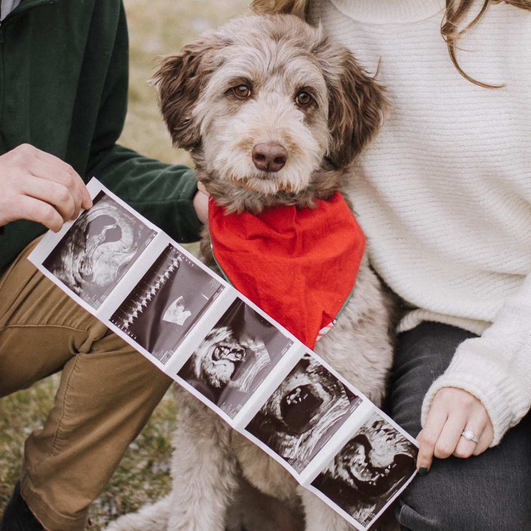 Photo shared by Kelsey for their Babylist baby registry.