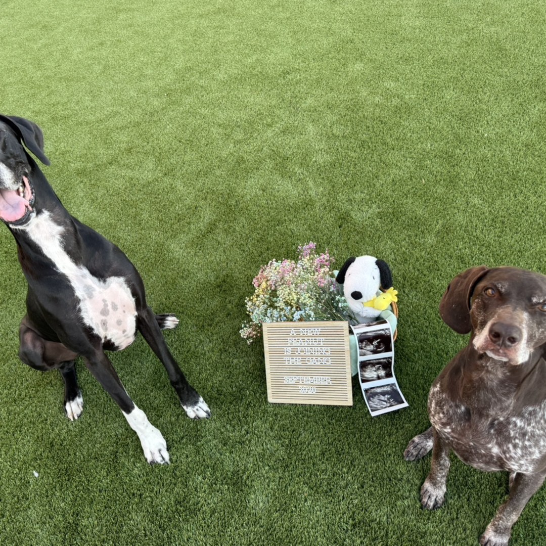 Photo shared by Emily for their Babylist baby registry.