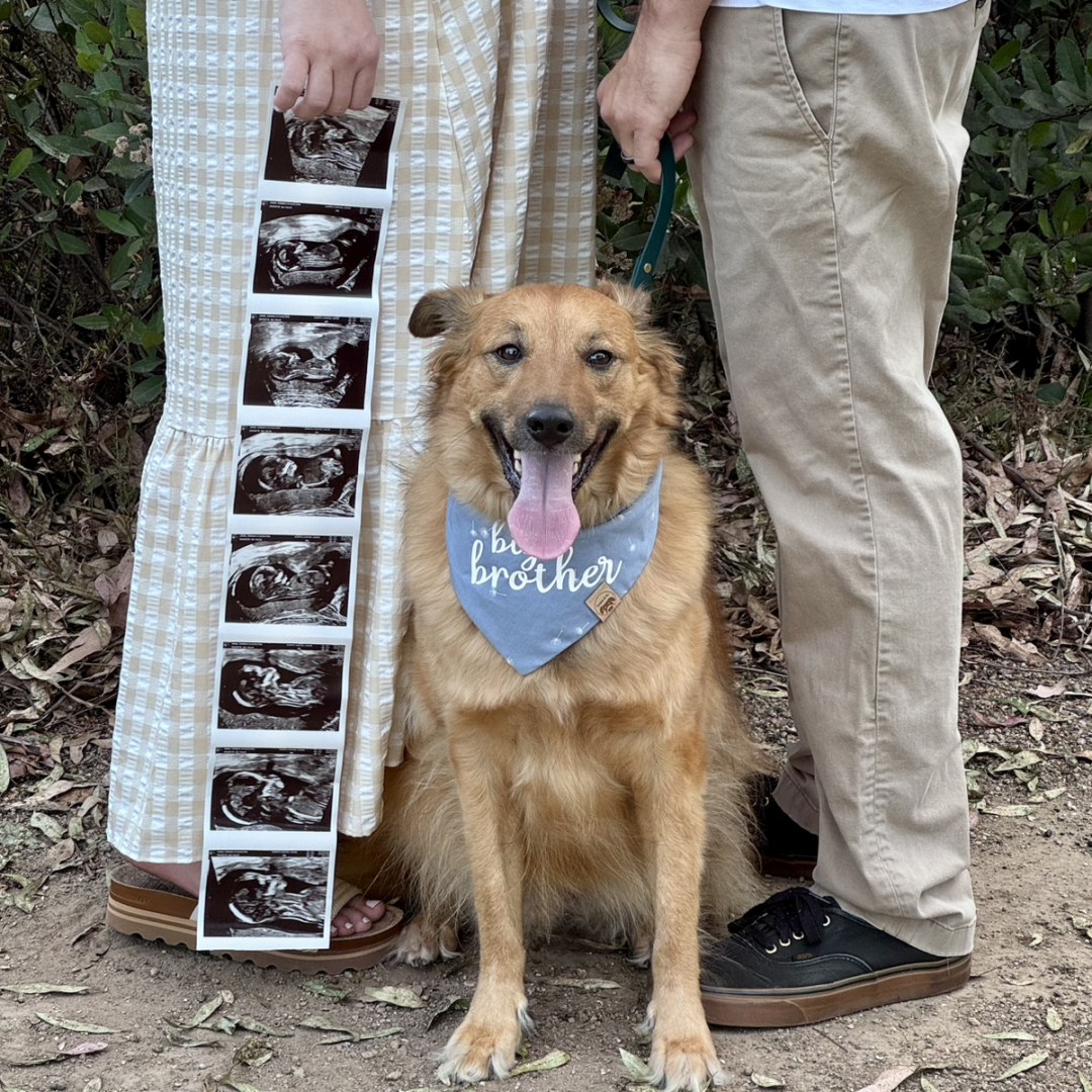 Photo shared by Hannah for their Babylist baby registry.