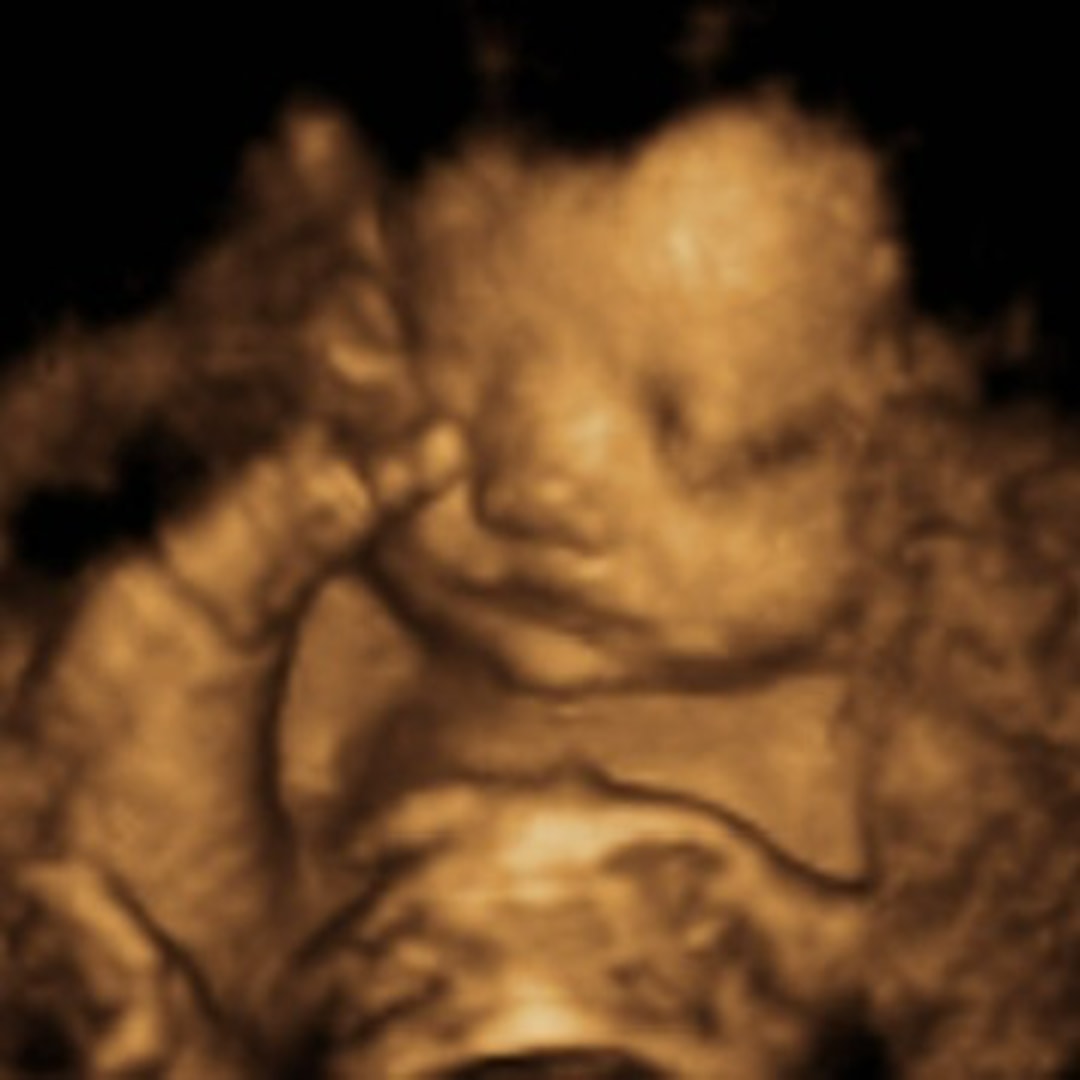 Photo shared by Sophie for their Babylist baby registry.