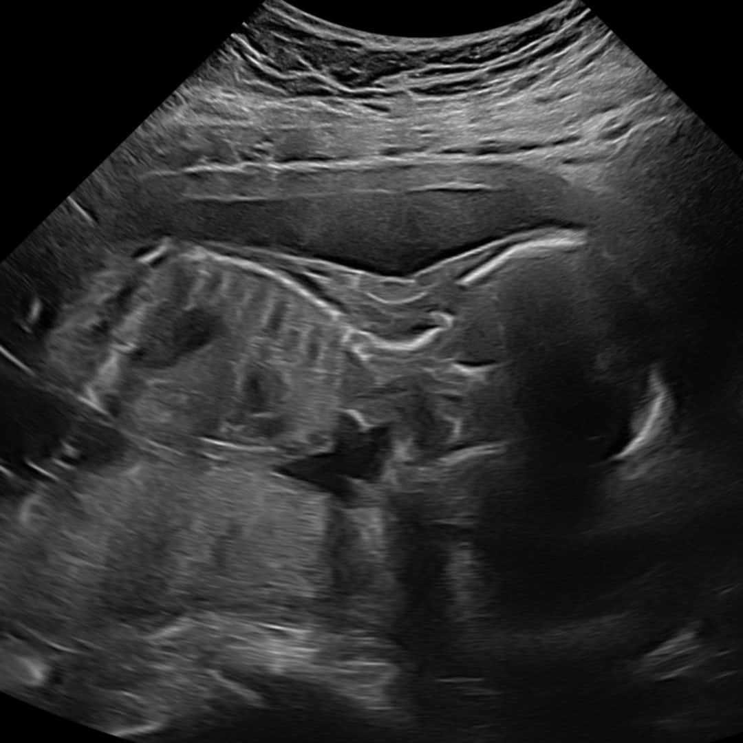 Photo shared by Emma for their Babylist baby registry.