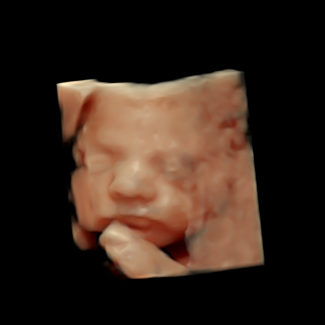 Photo shared by Alyssa for their Babylist baby registry.