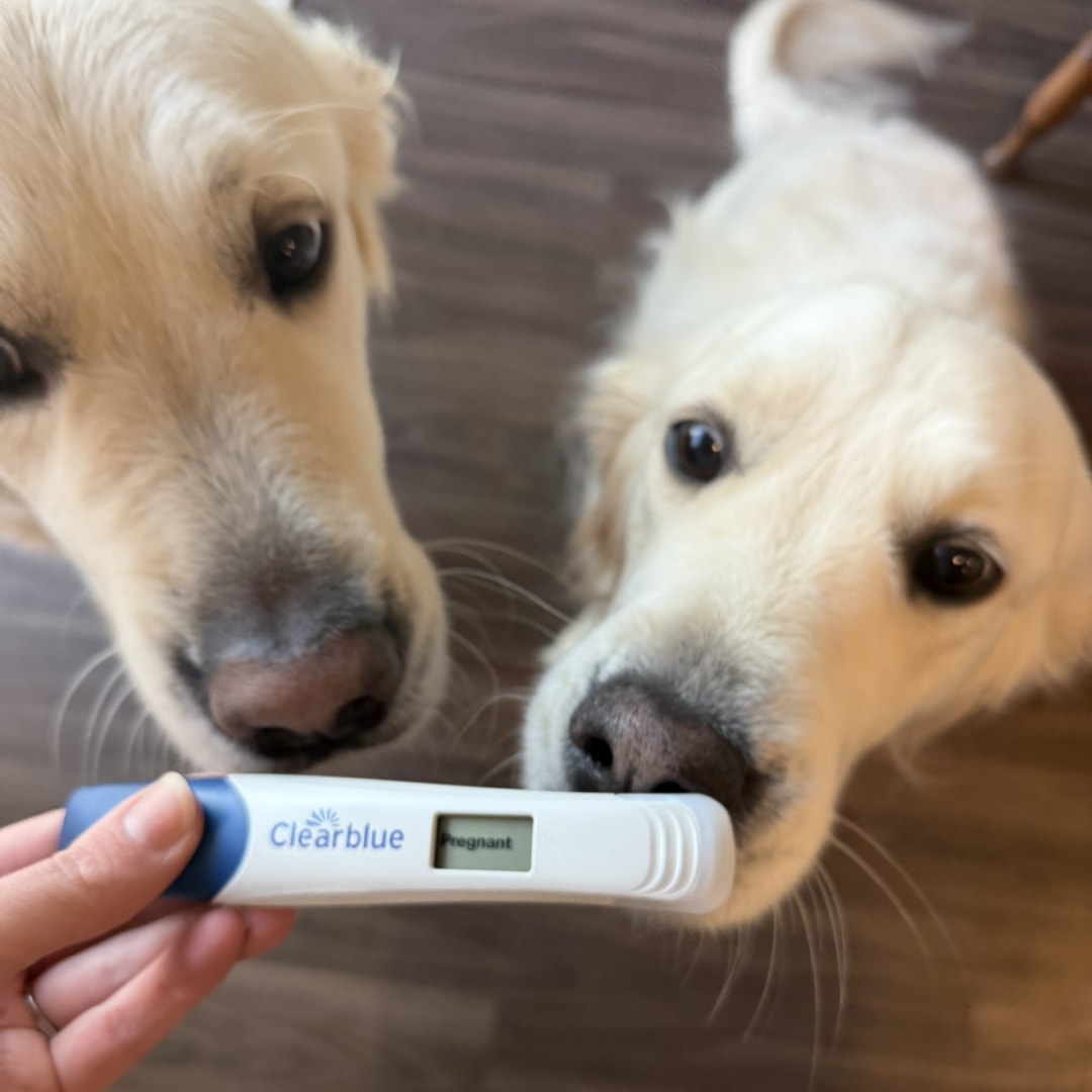 Photo shared by Amy for their Babylist baby registry.