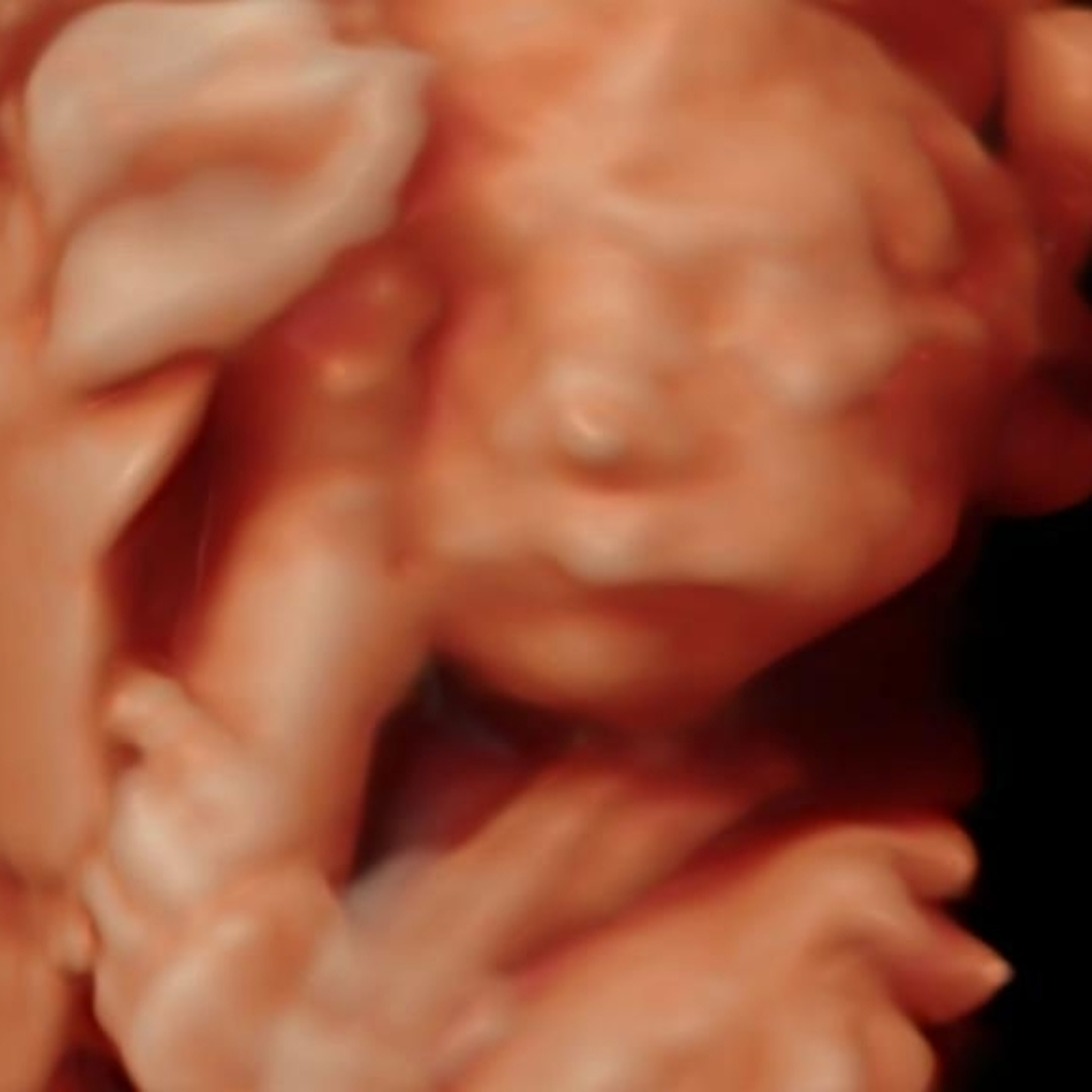 Photo shared by Emma for their Babylist baby registry.