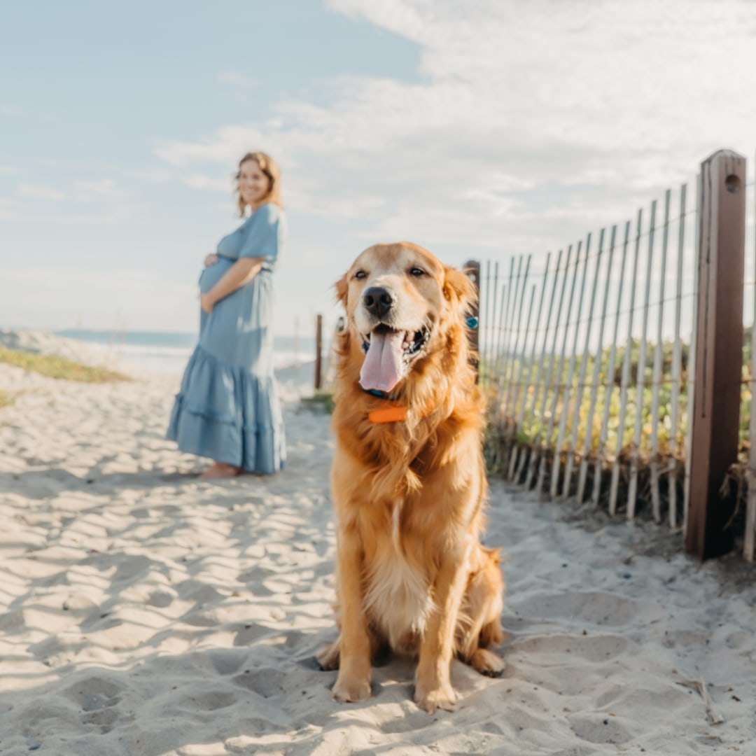 Photo shared by Emily for their Babylist baby registry.