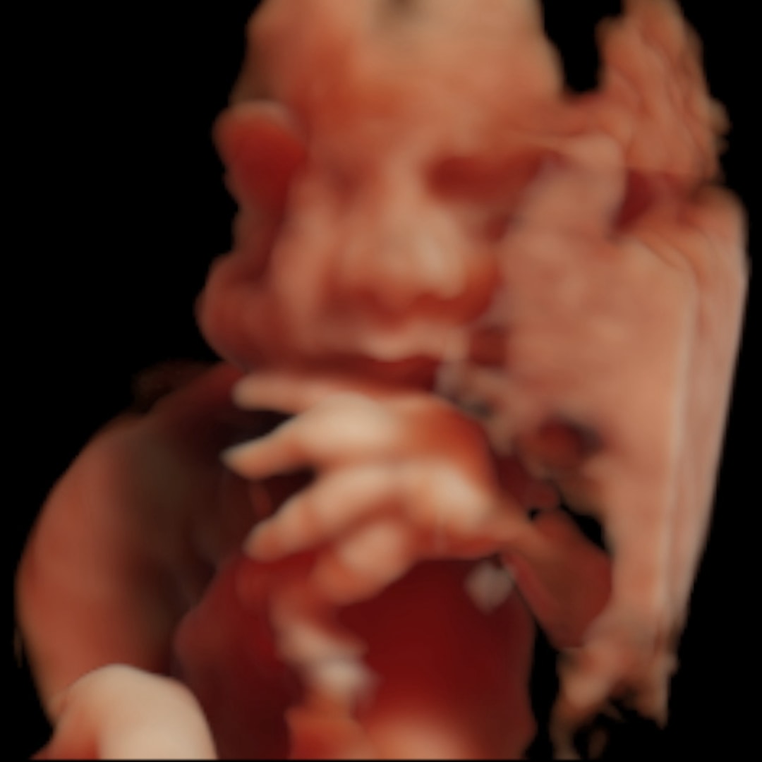 Photo shared by Jamie for their Babylist baby registry.