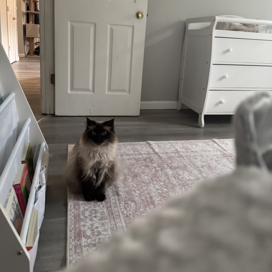 Photo shared by Drue for their Babylist baby registry.