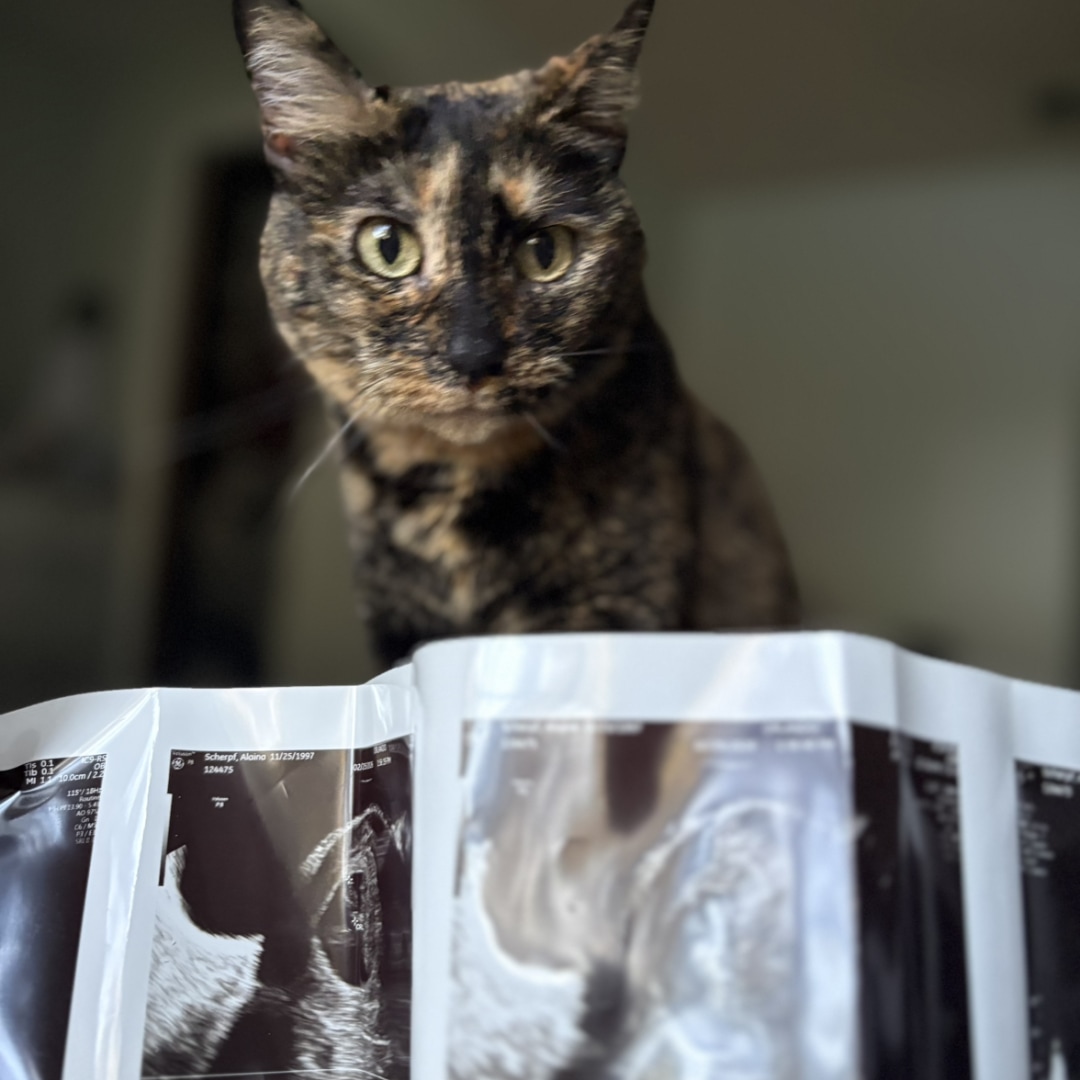 Photo shared by Alaina for their Babylist baby registry.