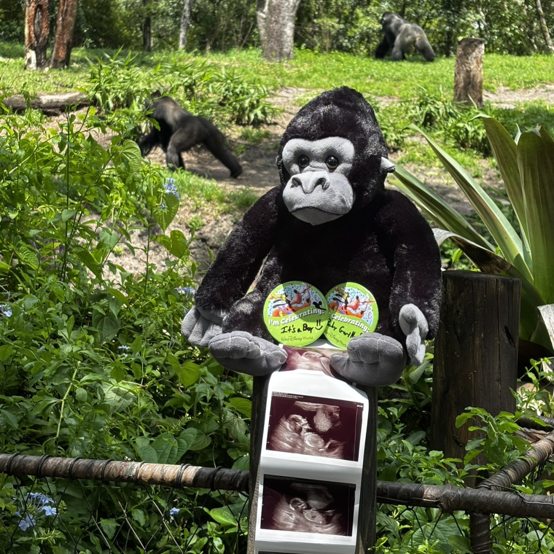 Photo shared by Dottie for their Babylist baby registry.