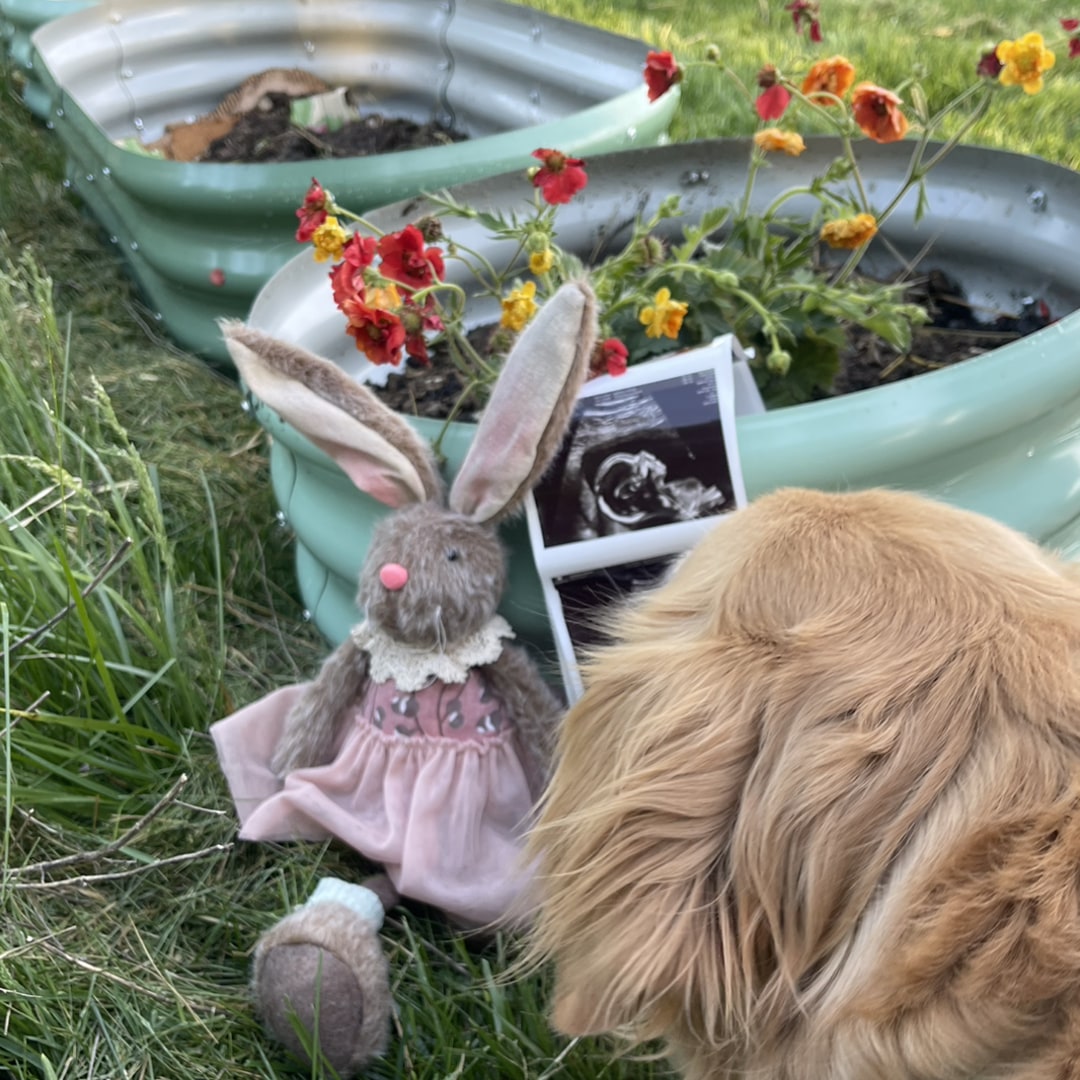 Photo shared by Marah for their Babylist baby registry.