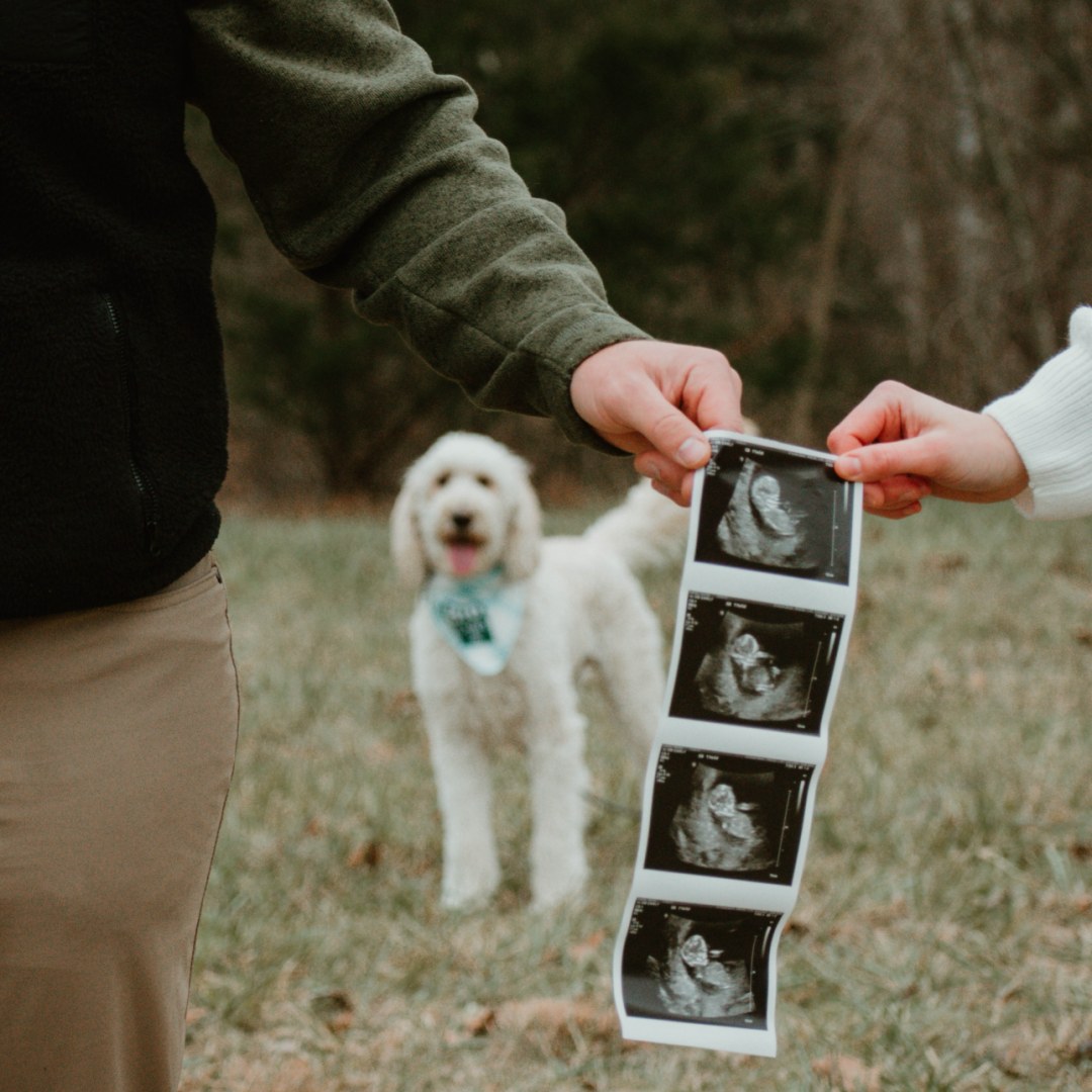 Photo shared by Tristin for their Babylist baby registry.