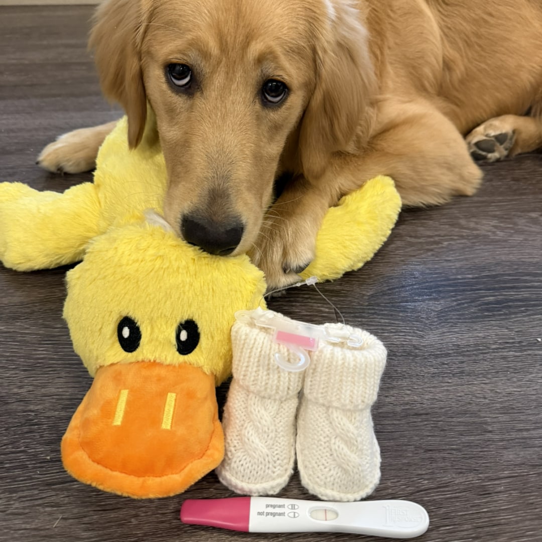 Photo shared by Hannah for their Babylist baby registry.