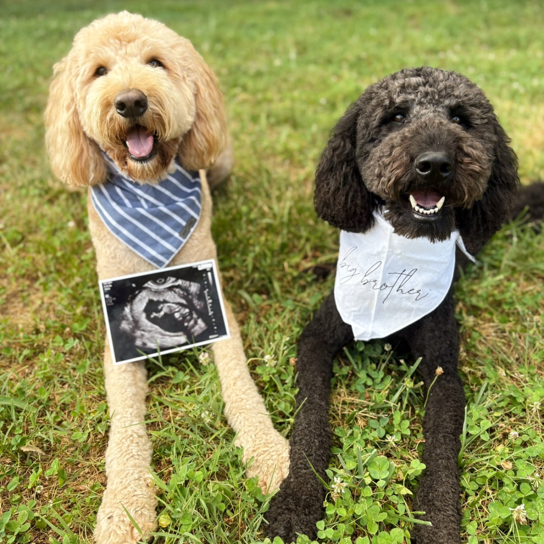 Photo shared by Taylor for their Babylist baby registry.