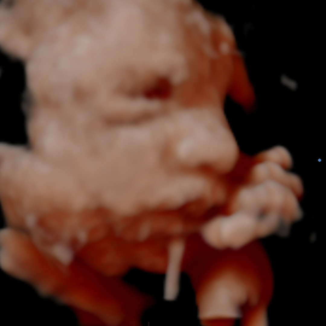 Photo shared by Sam for their Babylist baby registry.