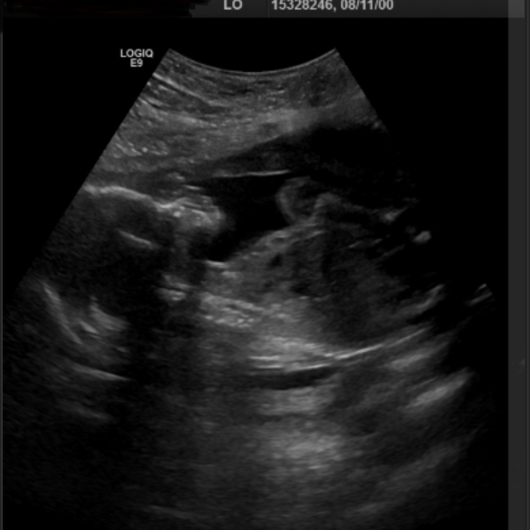 Photo shared by Sam for their Babylist baby registry.