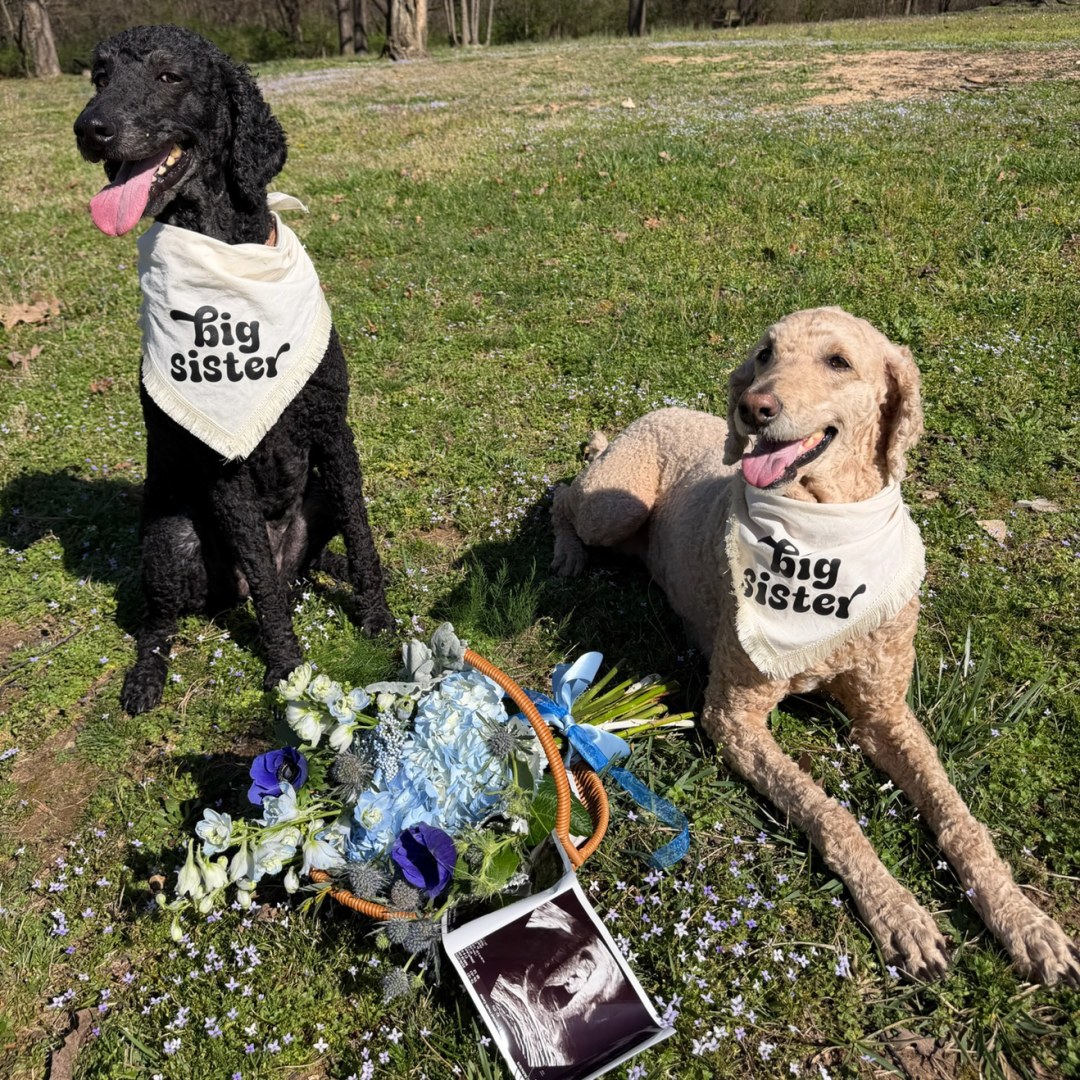 Photo shared by Emily for their Babylist baby registry.