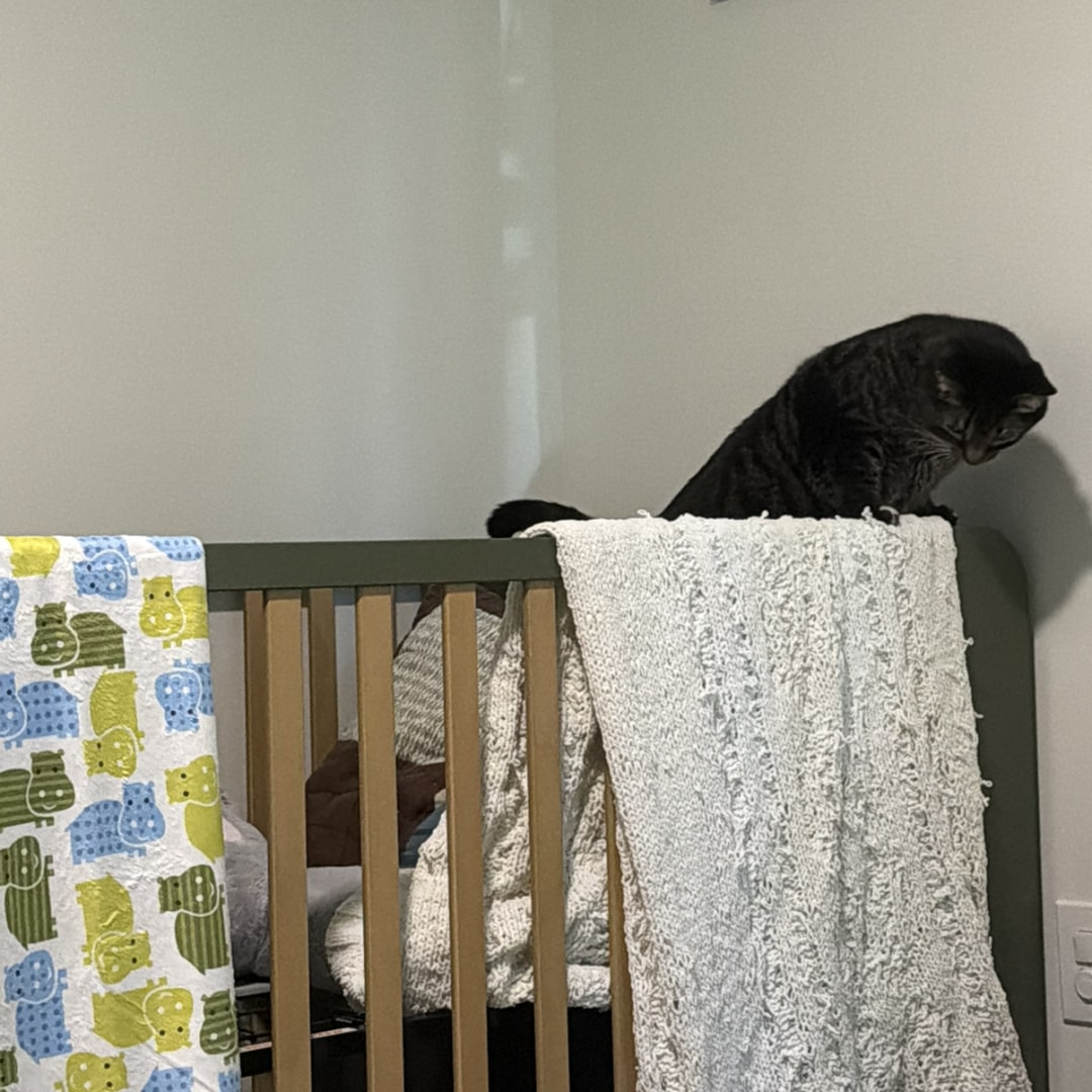 Photo shared by Alyssa for their Babylist baby registry.