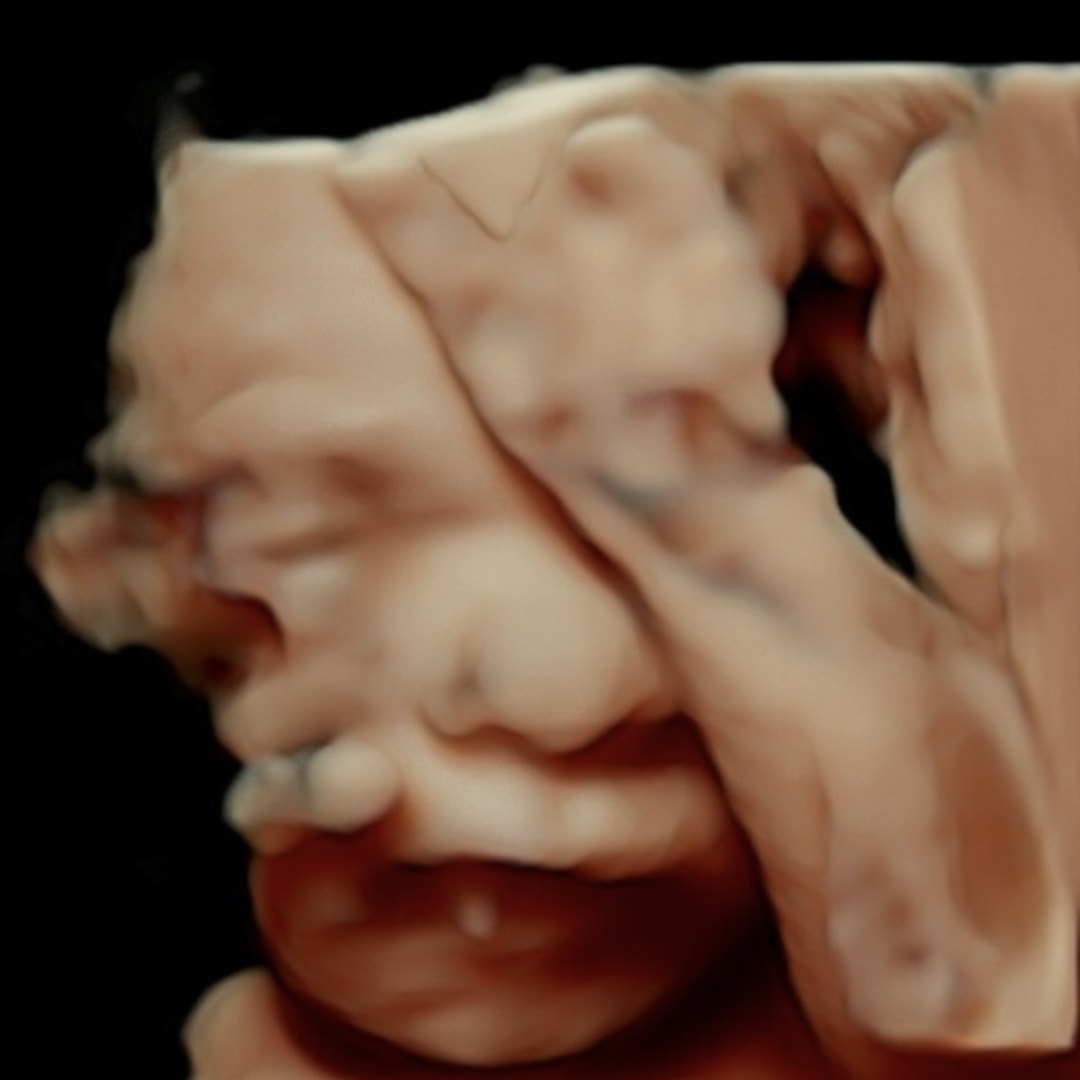 Photo shared by Carly for their Babylist baby registry.