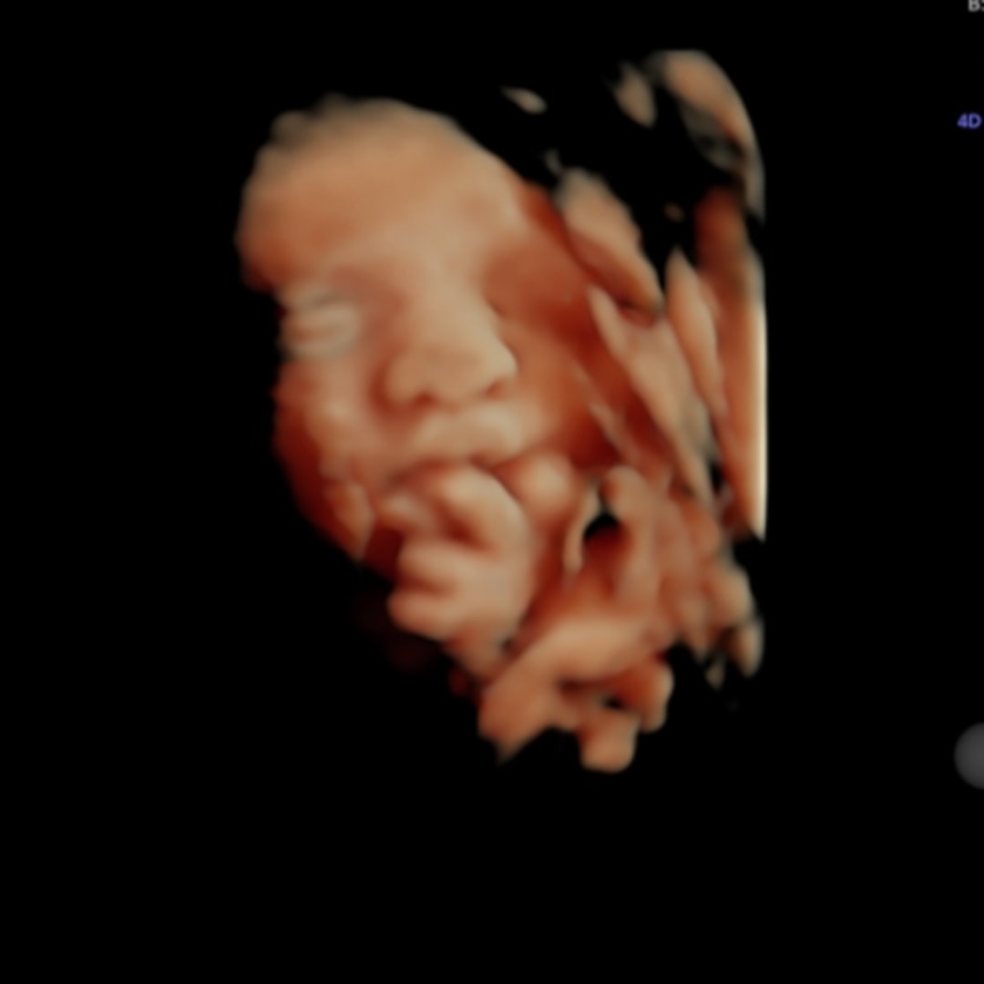 Photo shared by Claire for their Babylist baby registry.