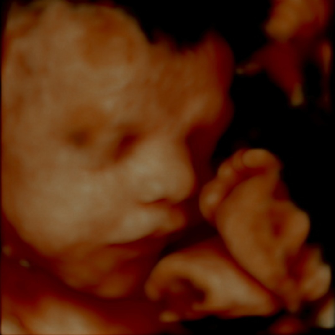 Photo shared by Kelsie for their Babylist baby registry.