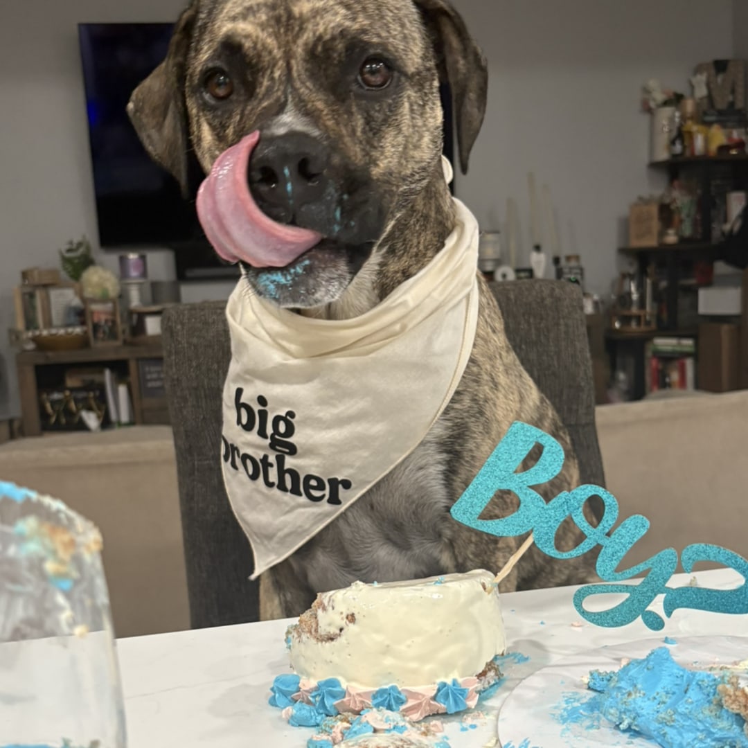 Photo shared by Amy for their Babylist baby registry.