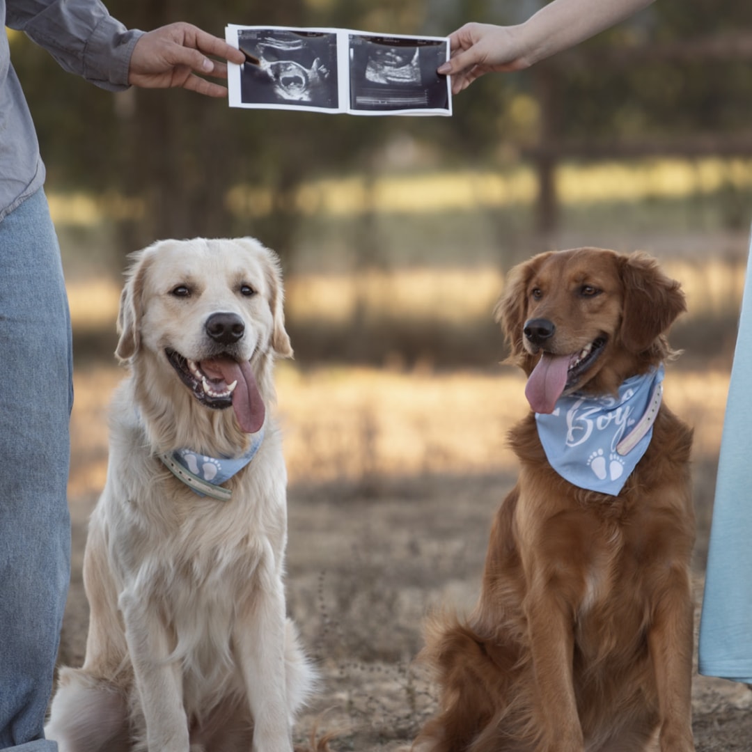 Photo shared by Ella for their Babylist baby registry.