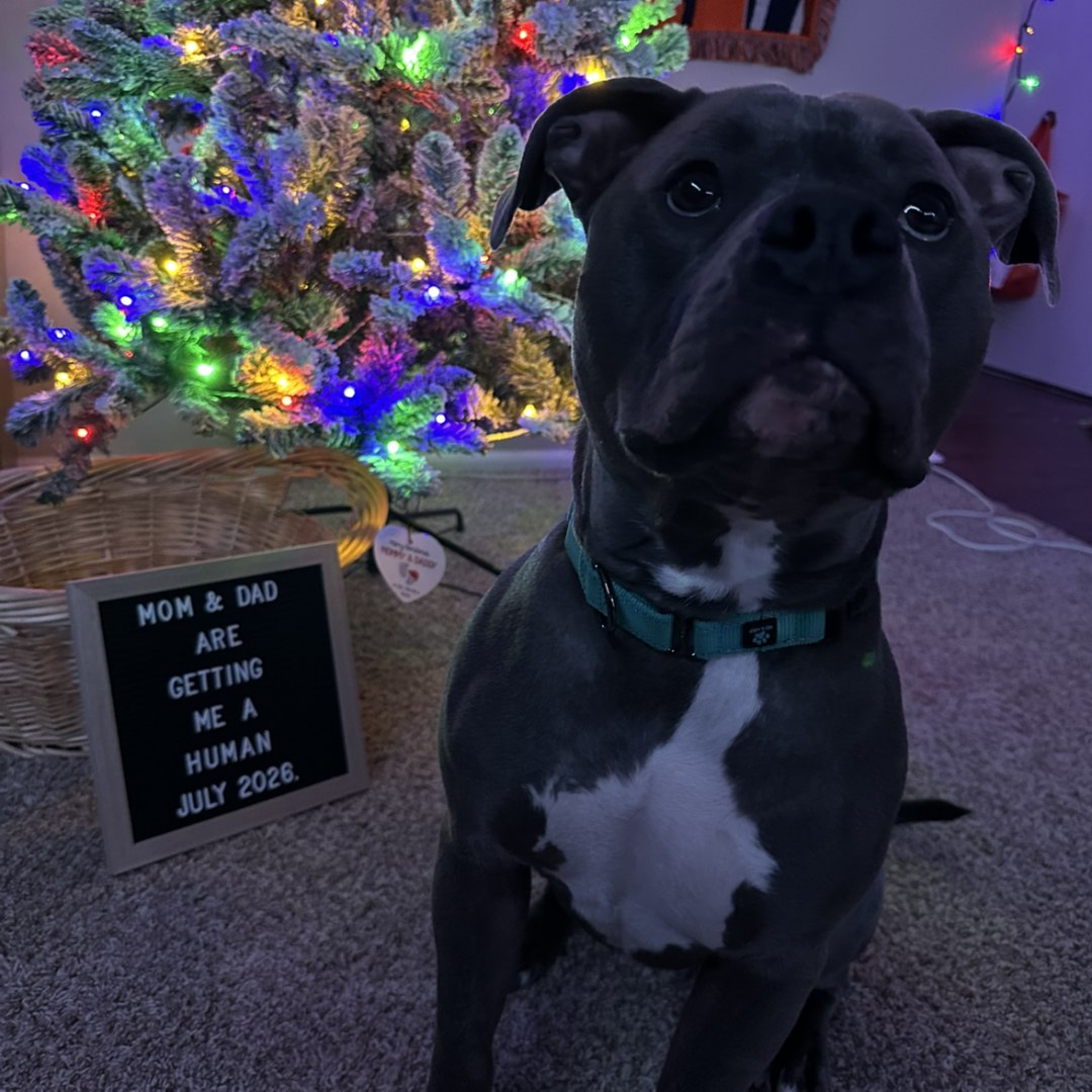 Photo shared by Dylan for their Babylist baby registry.