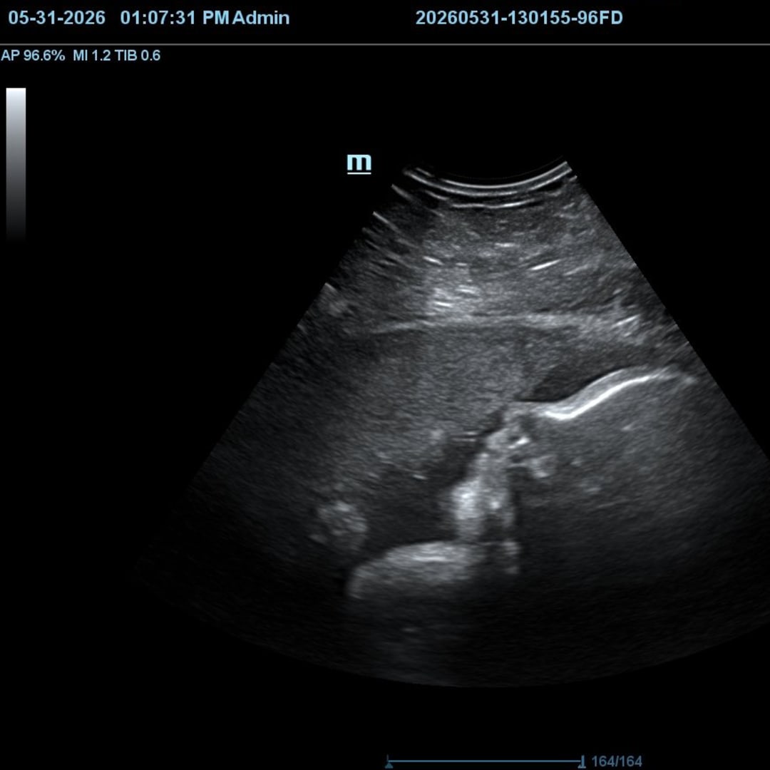 Photo shared by Sarah-Kathryn for their Babylist baby registry.