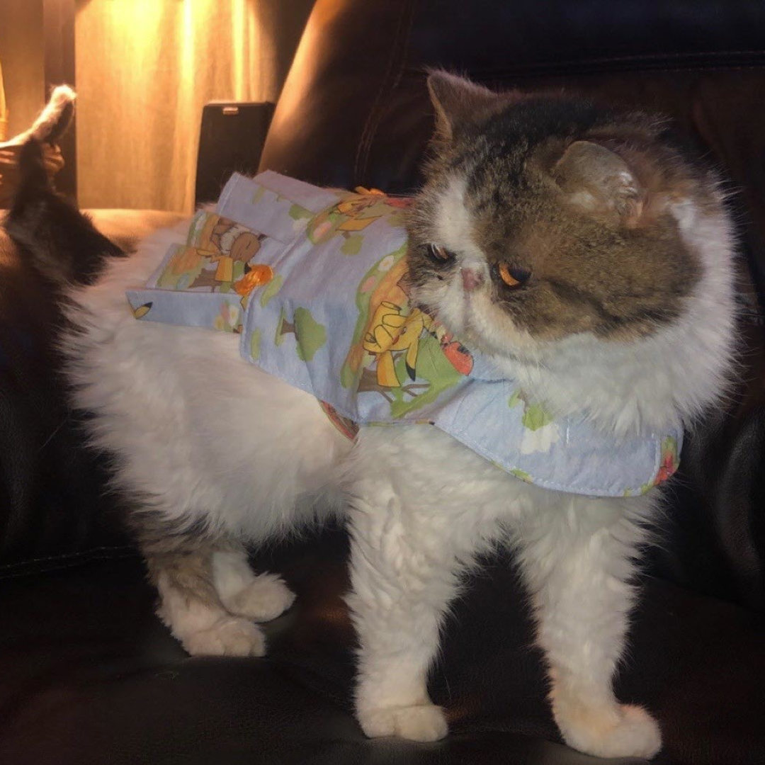 Photo shared by Rachel for their Babylist baby registry.