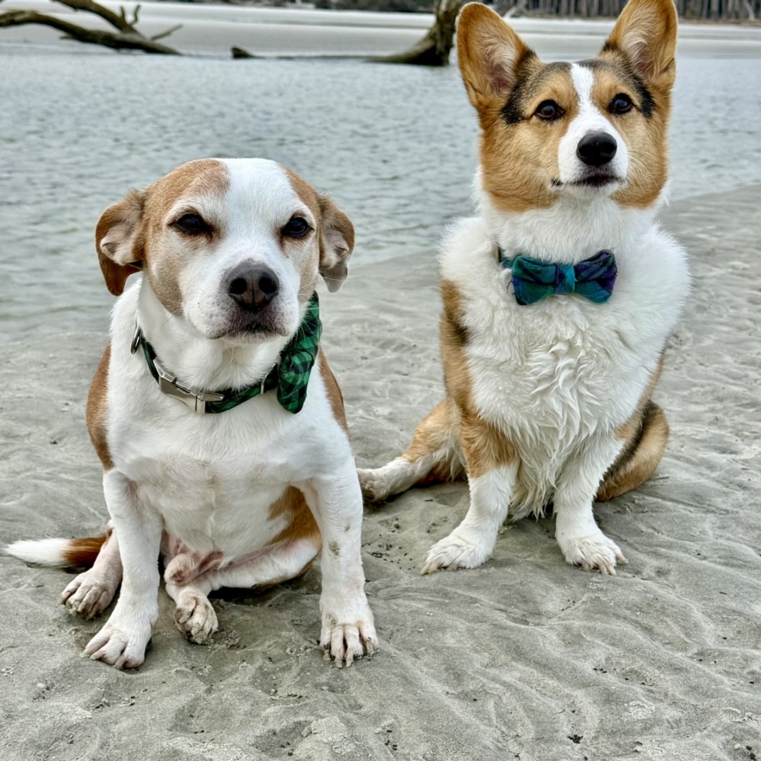 Photo shared by Chelsea for their Babylist baby registry.