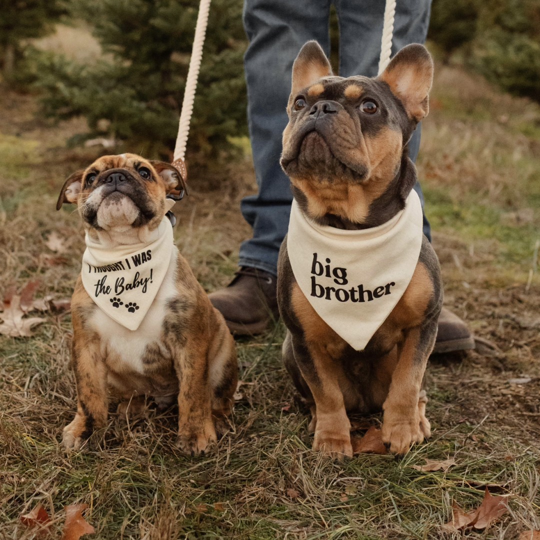 Photo shared by Gabrielle for their Babylist baby registry.