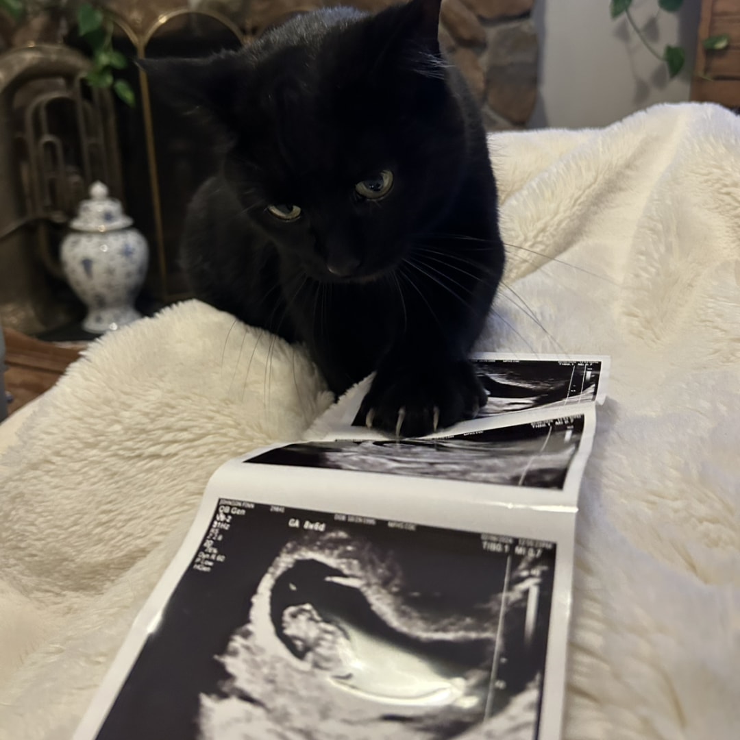 Photo shared by Finn for their Babylist baby registry.