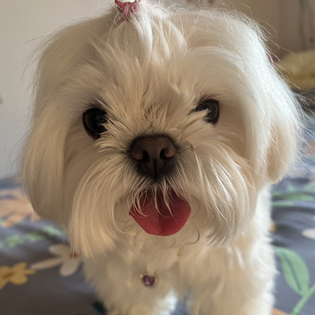 Photo shared by Huijin for their Babylist baby registry.