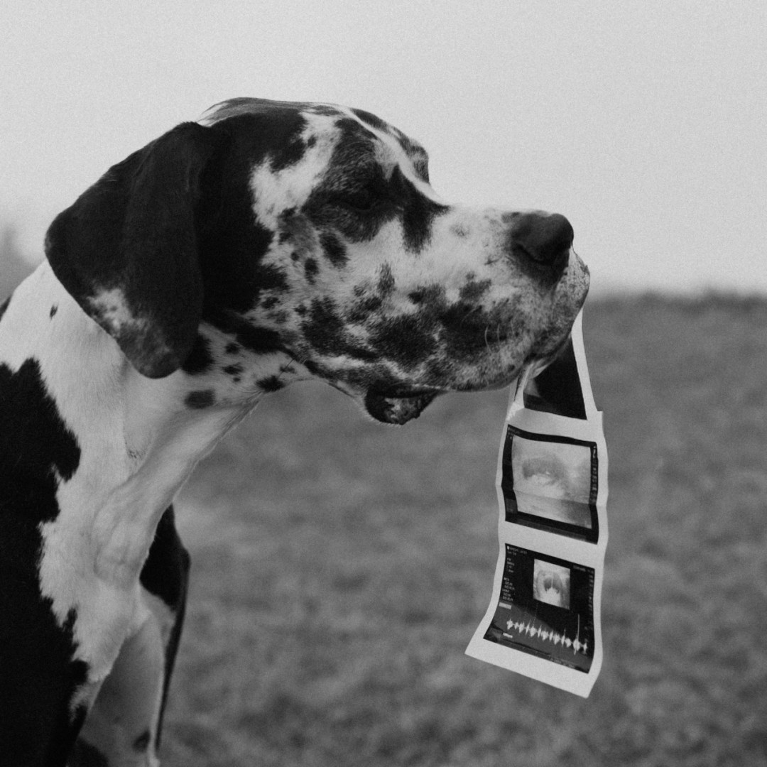 Photo shared by Lacey for their Babylist baby registry.