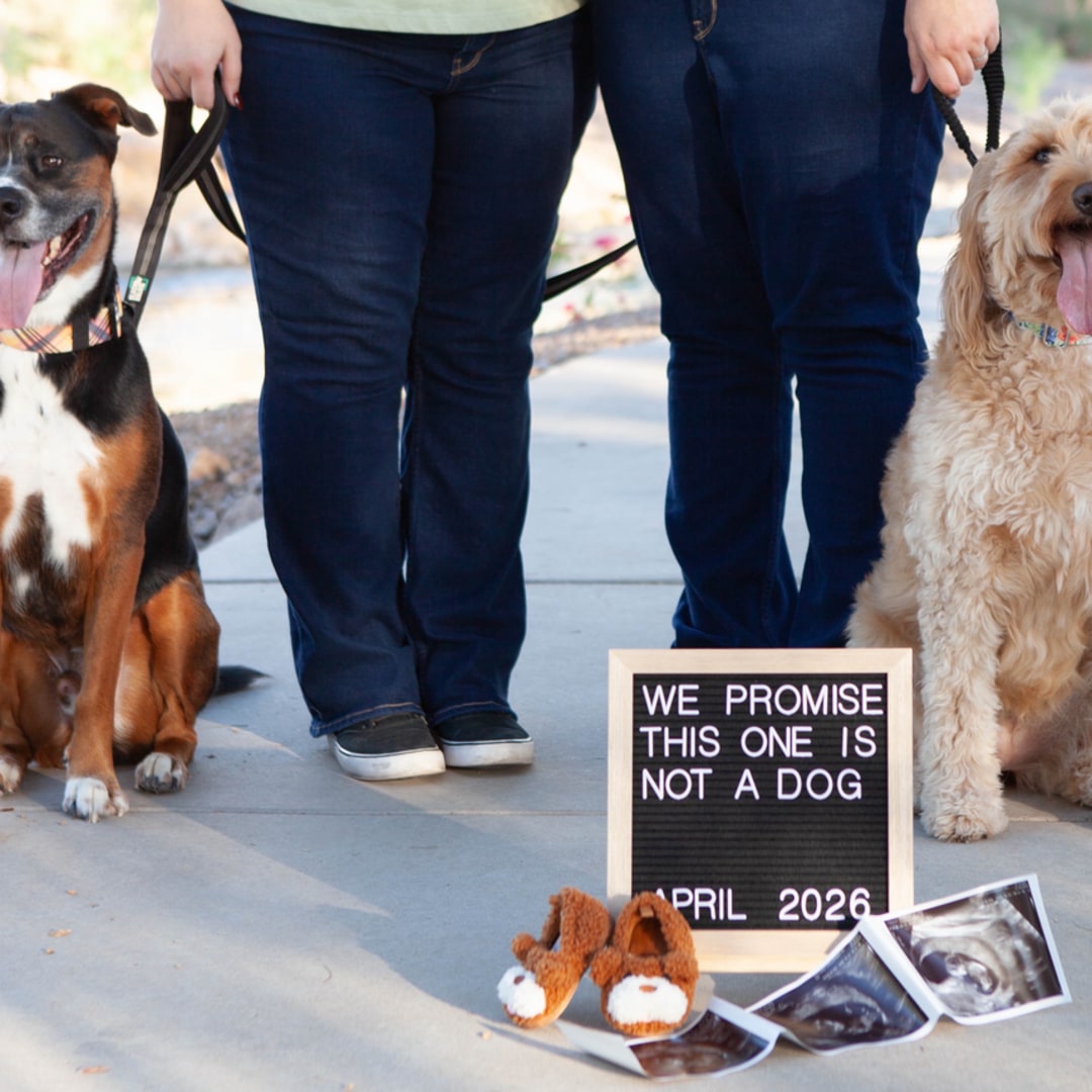 Photo shared by Kaleigh for their Babylist baby registry.