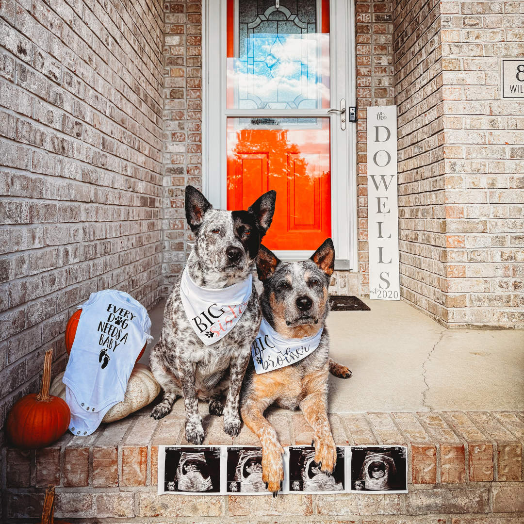 Photo shared by Jordan for their Babylist baby registry.