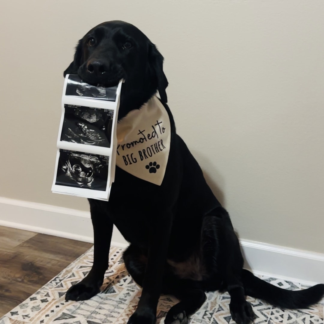 Photo shared by Paige for their Babylist baby registry.