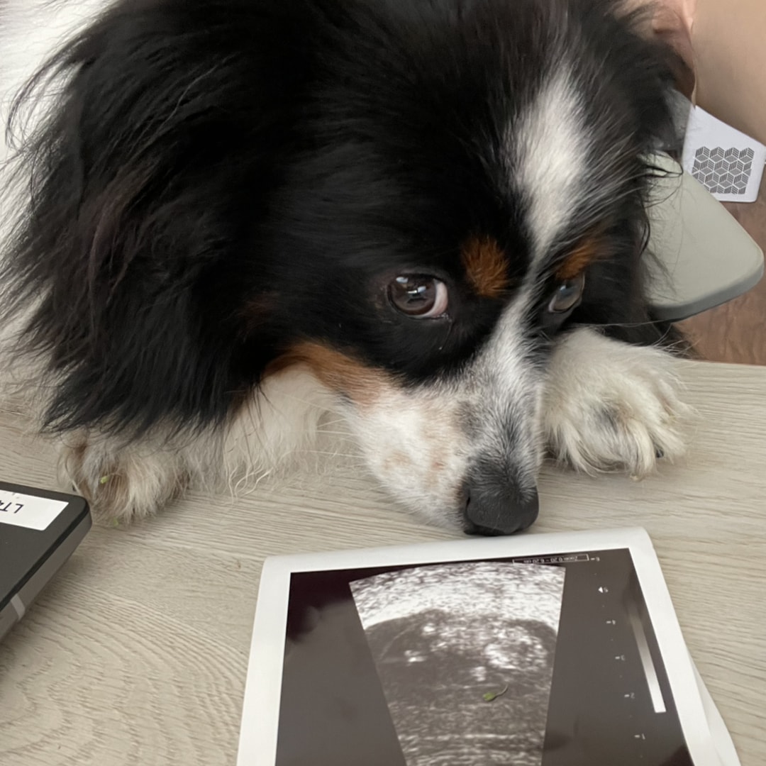 Photo shared by Amy for their Babylist baby registry.