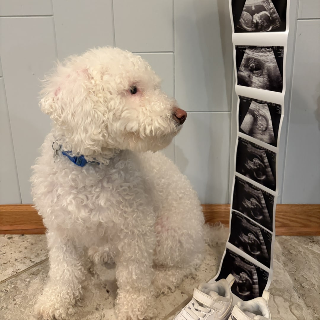 Photo shared by Alison for their Babylist baby registry.