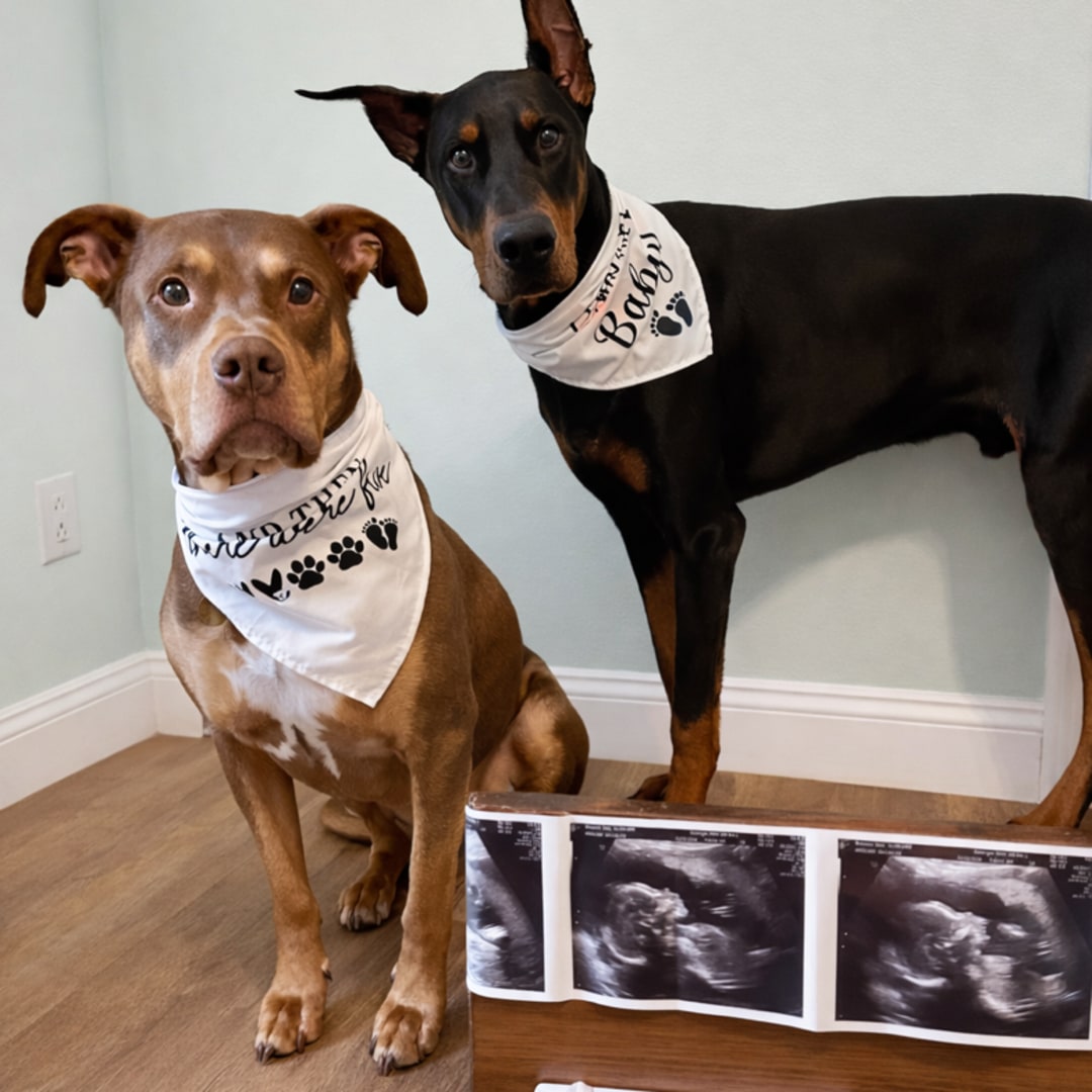 Photo shared by Kelly for their Babylist baby registry.