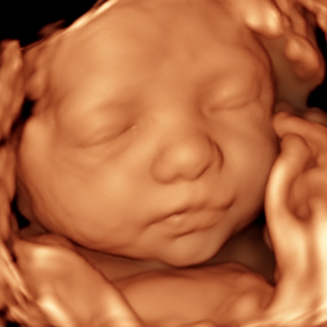 Photo shared by Francesco for their Babylist baby registry.