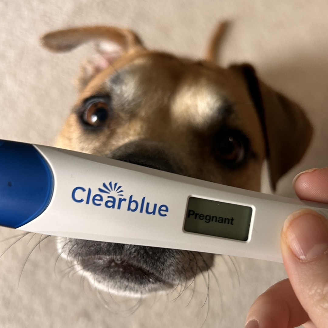 Photo shared by Hannah for their Babylist baby registry.