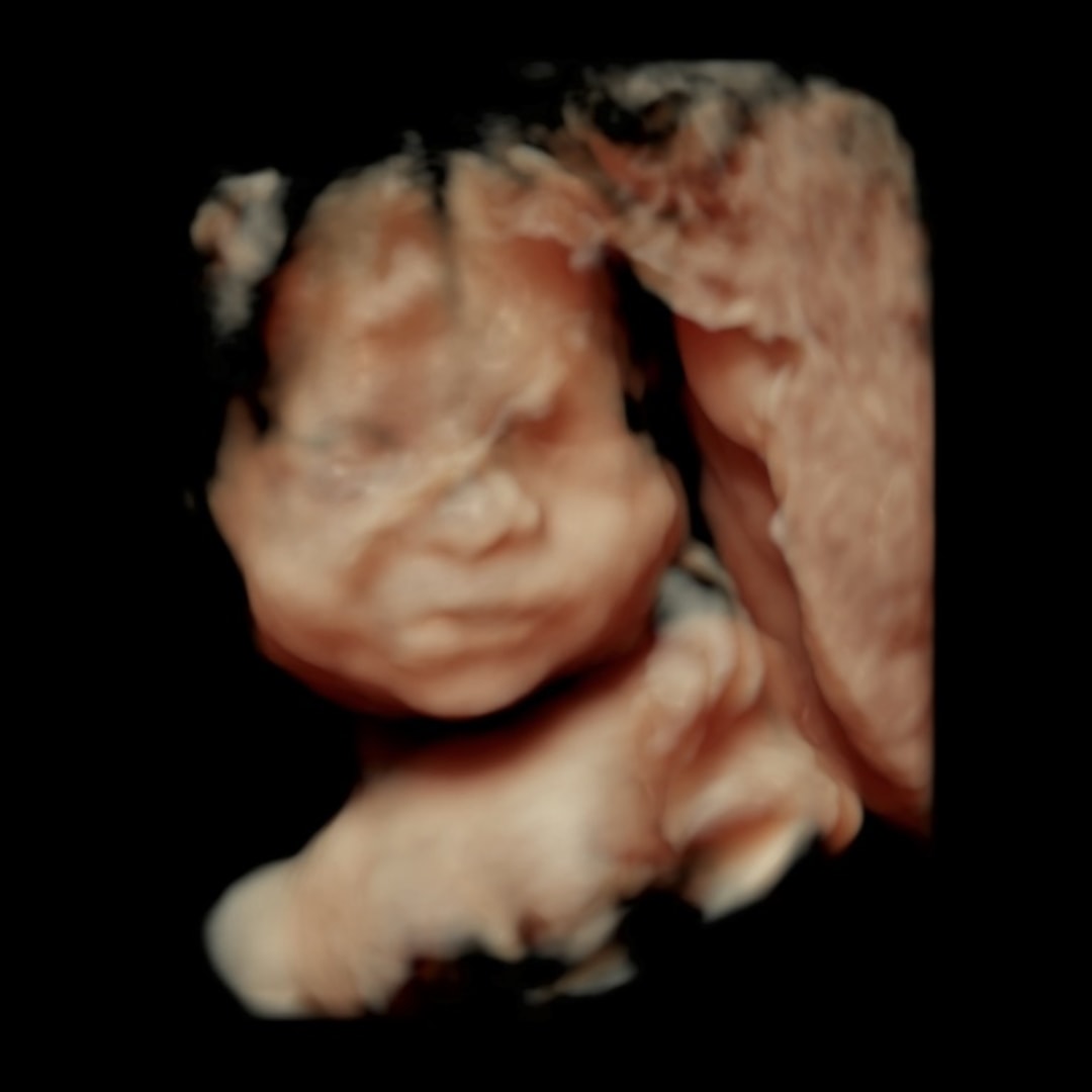 Photo shared by Fatima for their Babylist baby registry.