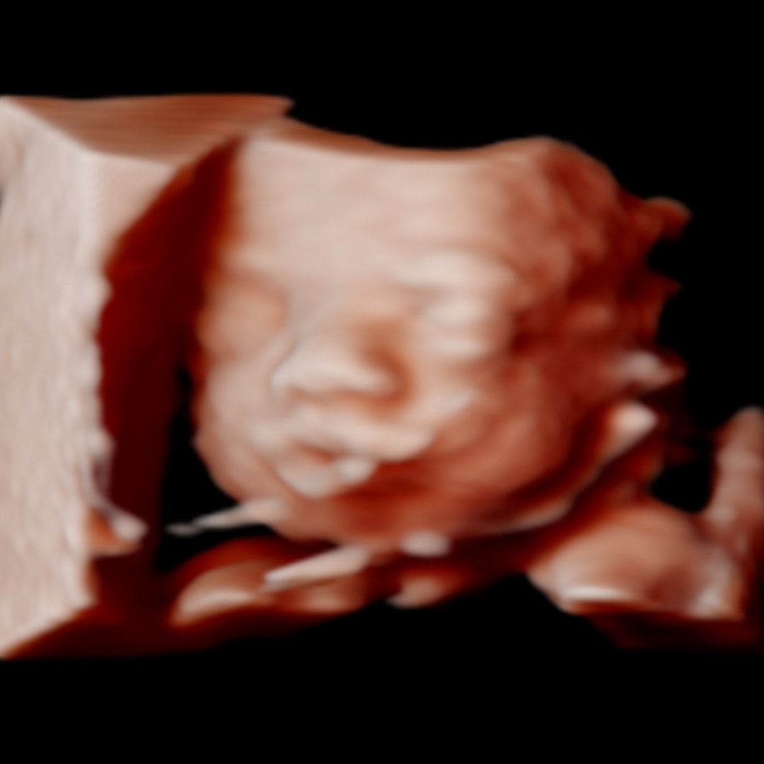 Photo shared by Samantha for their Babylist baby registry.