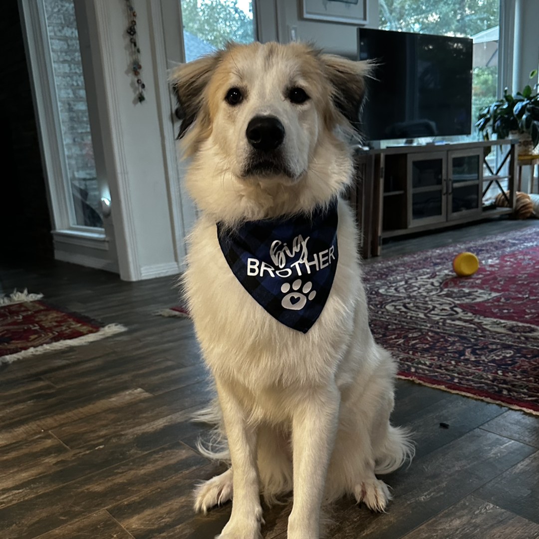 Photo shared by Katie for their Babylist baby registry.