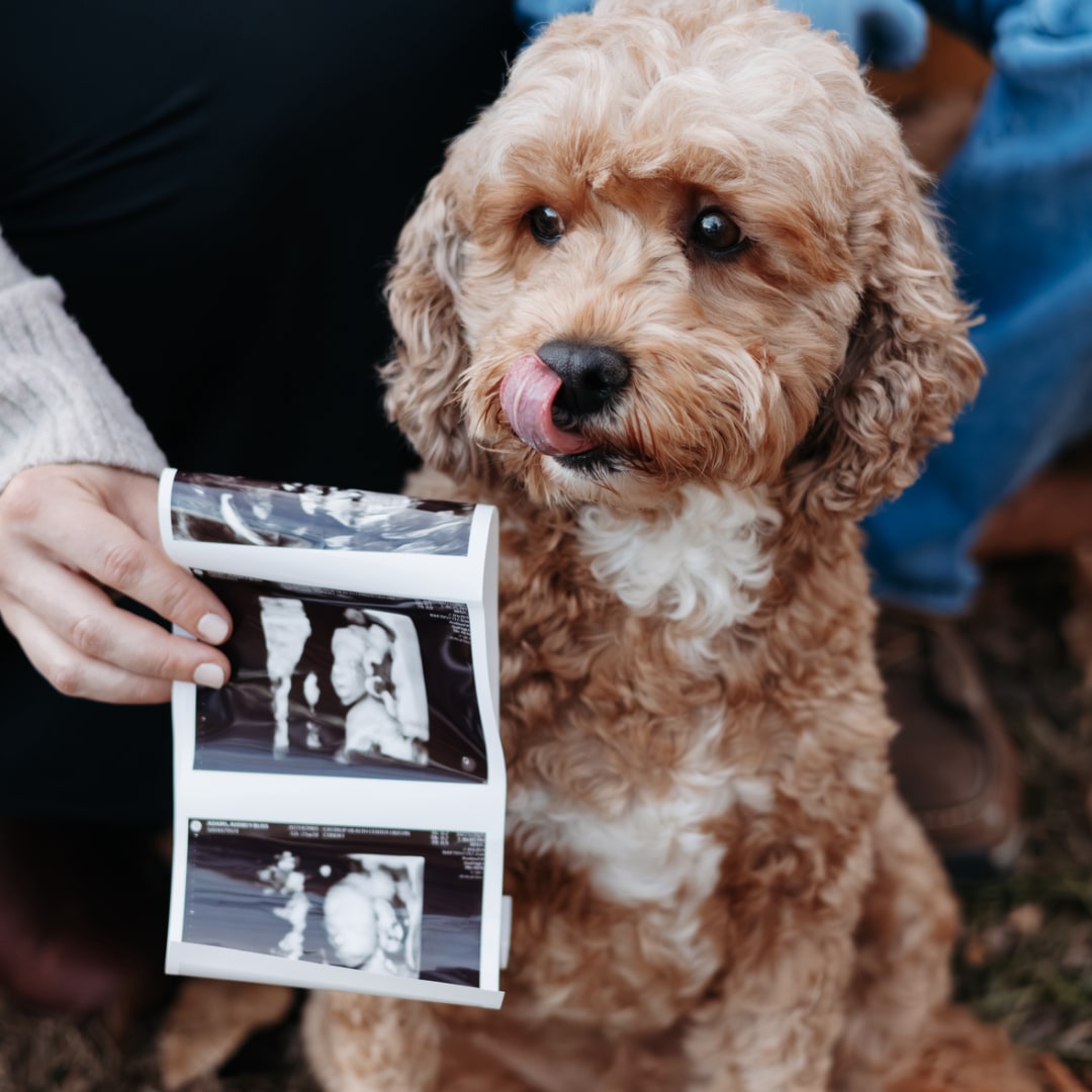 Photo shared by Audrey for their Babylist baby registry.