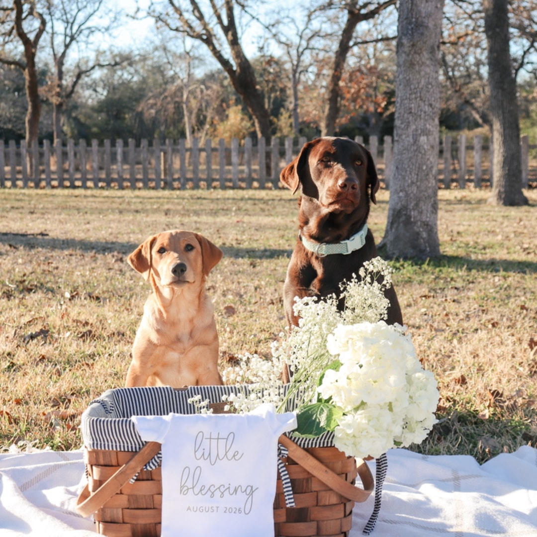 Photo shared by Brooke for their Babylist baby registry.