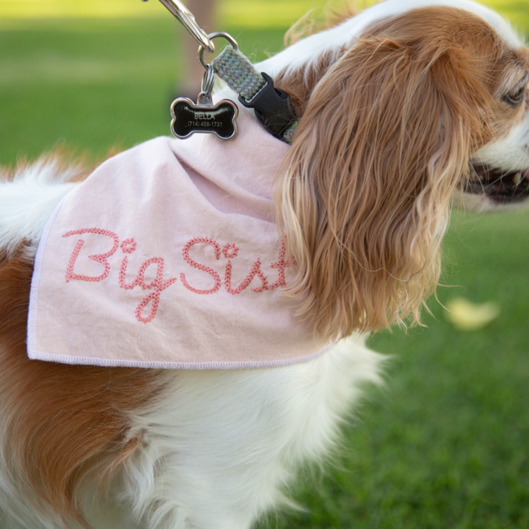 Photo shared by Emily for their Babylist baby registry.